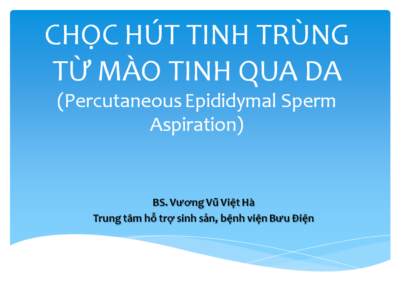 ho tro sinh san vuong vu viet ha