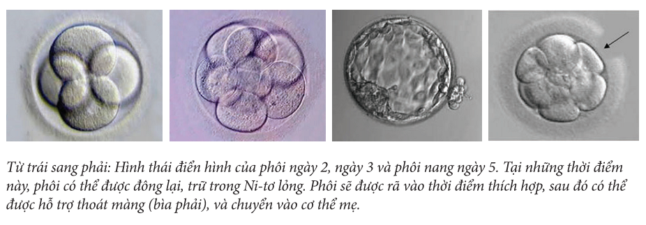 dong phoi/trung tai benh vien buu dien