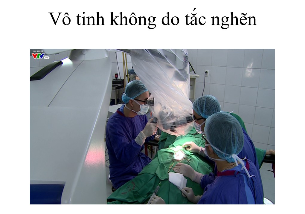 KỸ THUẬT TESE ĐIỀU TRỊ VÔ SINH NAM